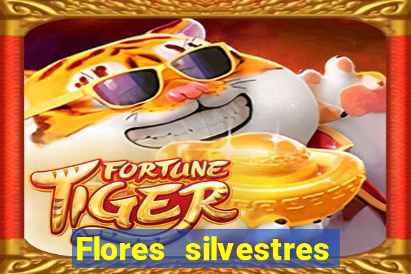 Flores silvestres brasileiras 25